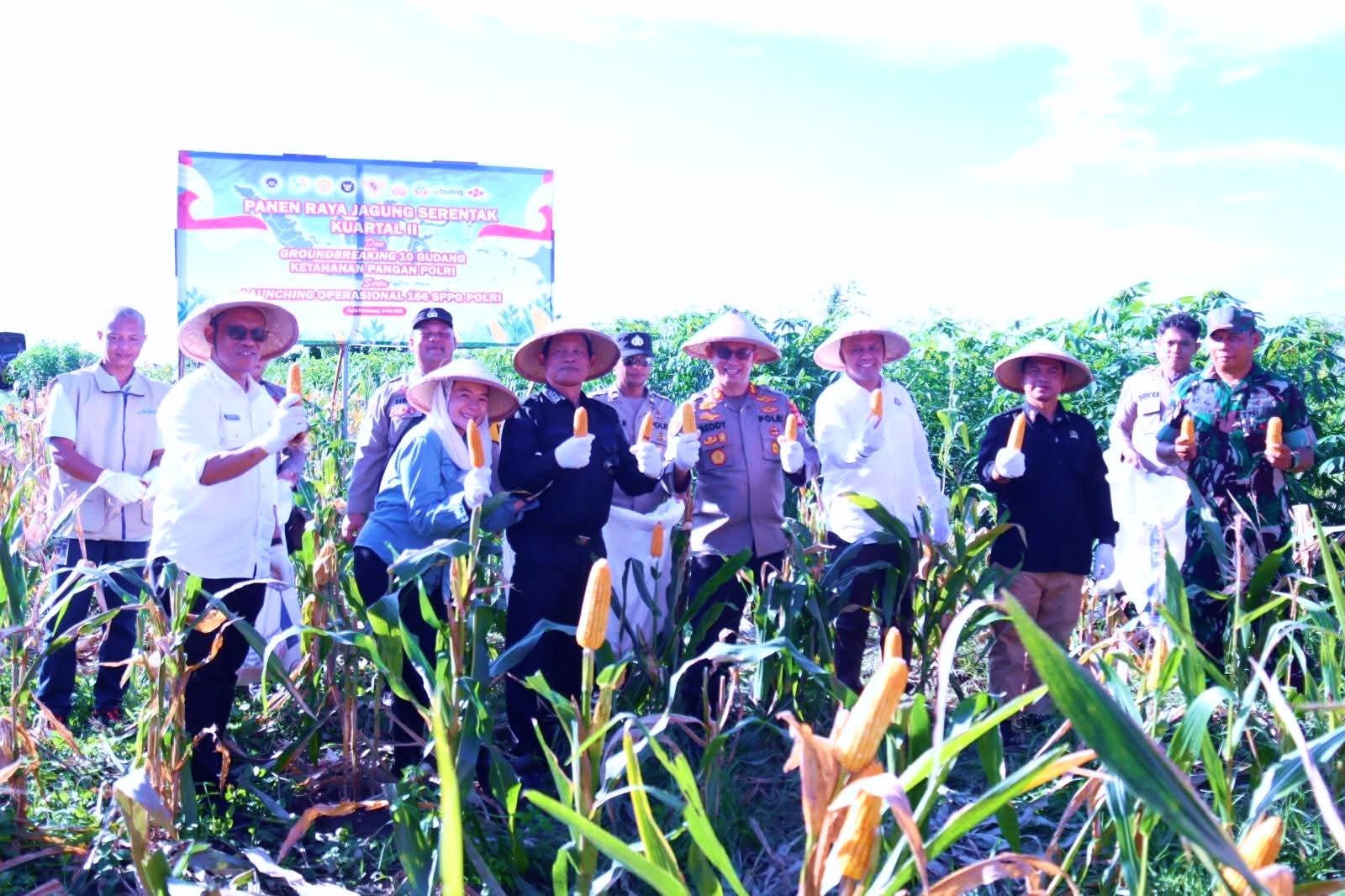 Sinergi Hijau di Bumi Gawi Hatantiring, Ketika Jagung Polres Seruyan Menjadi Simbol Perlawanan Krisis Pangan! 9 lv 0 20260517163115