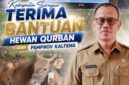Pemerintah Kabupaten Seruyan menerima bantuan 33 ekor hewan qurban dari Pemerintah Provinsi Kalimantan Tengah. Penyerahan berlangsung langsung di halaman Kantor Bupati Seruyan, Selasa, 26 Mei 2026.