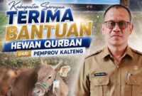 Pemerintah Kabupaten Seruyan menerima bantuan 33 ekor hewan qurban dari Pemerintah Provinsi Kalimantan Tengah. Penyerahan berlangsung langsung di halaman Kantor Bupati Seruyan, Selasa, 26 Mei 2026.