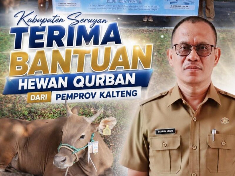 Pemerintah Kabupaten Seruyan menerima bantuan 33 ekor hewan qurban dari Pemerintah Provinsi Kalimantan Tengah. Penyerahan berlangsung langsung di halaman Kantor Bupati Seruyan, Selasa, 26 Mei 2026.