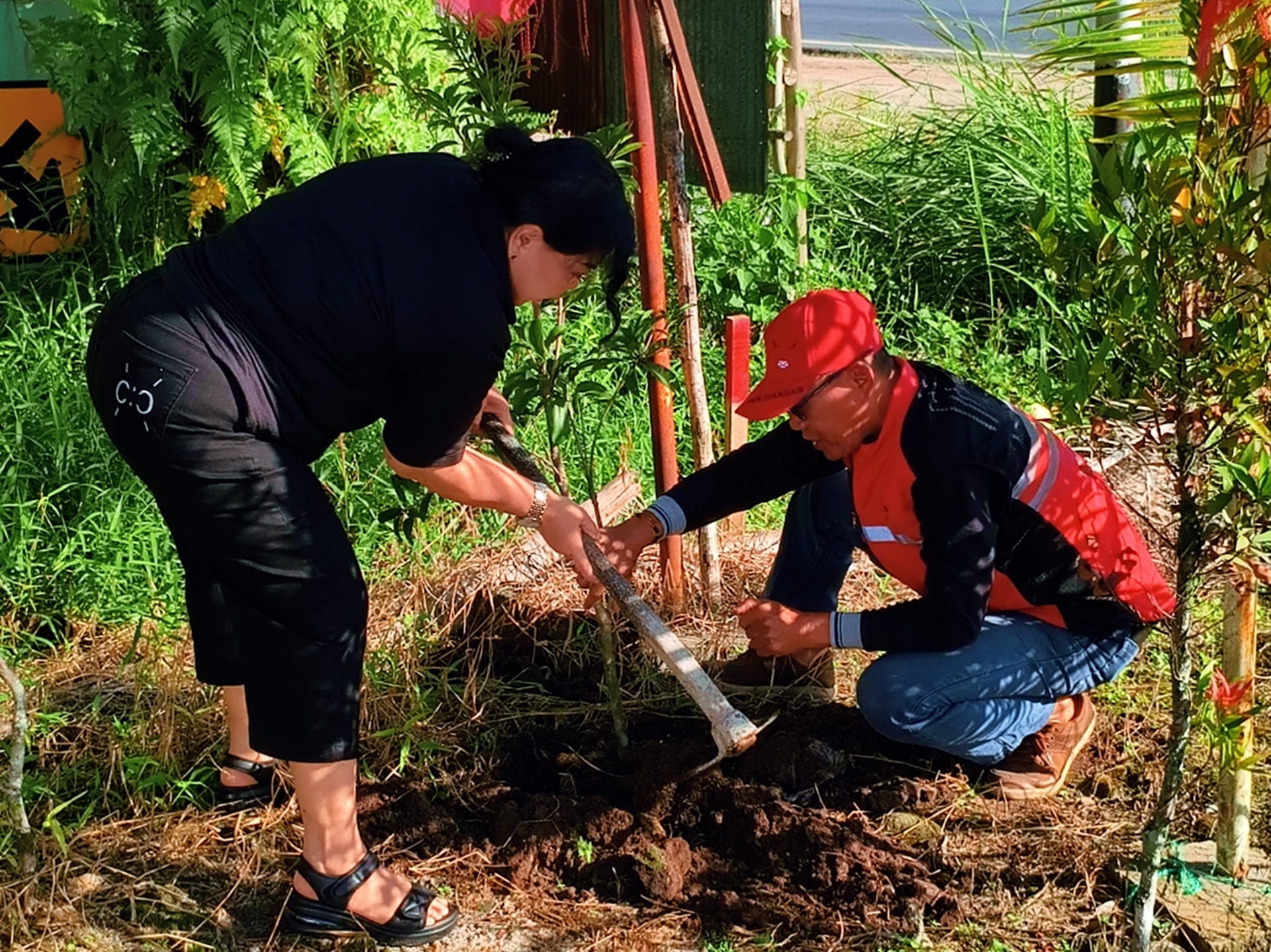 1 Ribu Pohon, 1 Pesan: PDIP Palangka Raya Tanam Warisan untuk Generasi Mendatang 8 lv 0 20260615134627